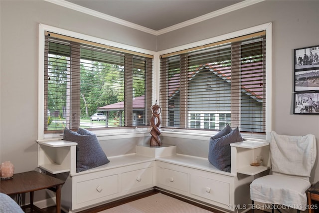 living area featuring plenty of natural light and ornamental molding