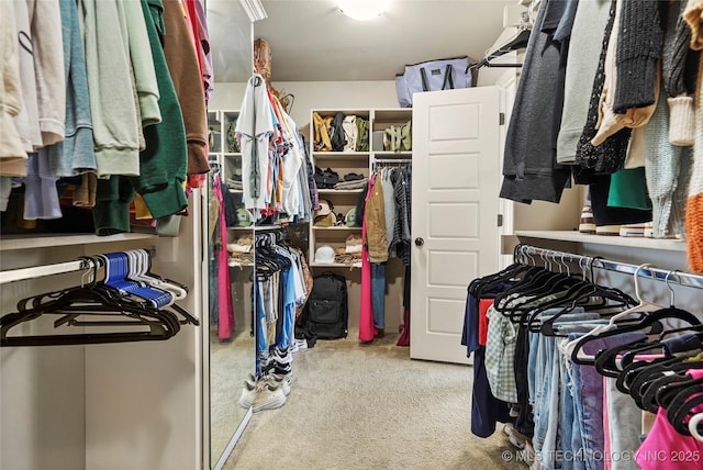 spacious closet with carpet flooring