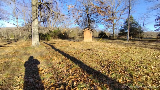 view of yard with a storage shed