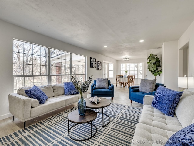 living room featuring wood-type flooring