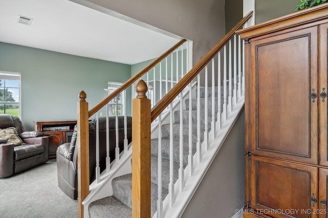 stairs with carpet flooring