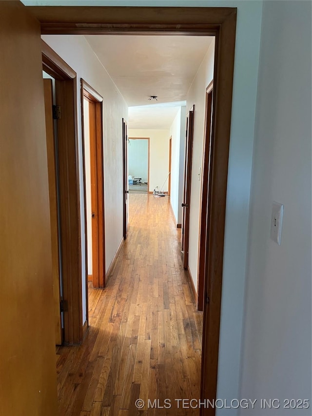 hall featuring light hardwood / wood-style flooring