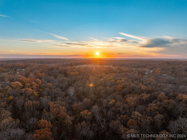 4 Skyline Dr, Afton, OK 74331 - photo 9