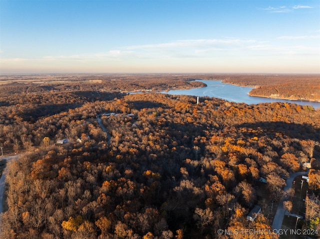 4 Skyline Dr, Afton, OK 74331 - photo 20