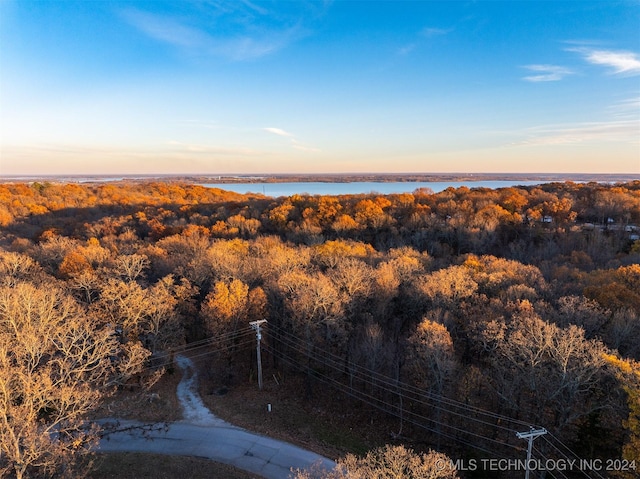 4 Skyline Dr, Afton, OK 74331 - photo 42