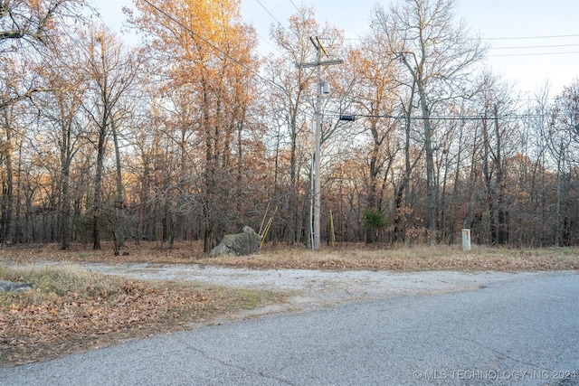 4 Skyline Dr, Afton, OK 74331 - photo 43
