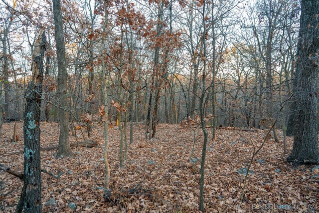 4 Skyline Dr, Afton, OK 74331 - photo 44