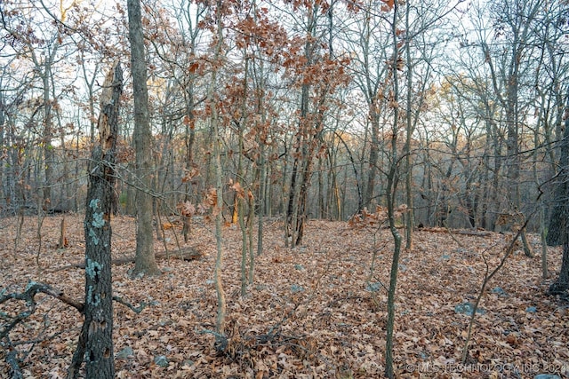 4 Skyline Dr, Afton, OK 74331 - photo 45