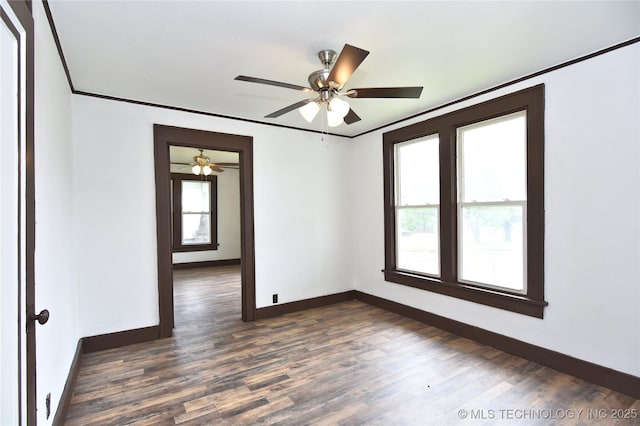 spare room featuring ornamental molding, a wealth of natural light, and dark wood-type flooring