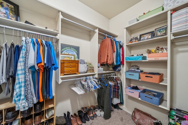 spacious closet featuring carpet