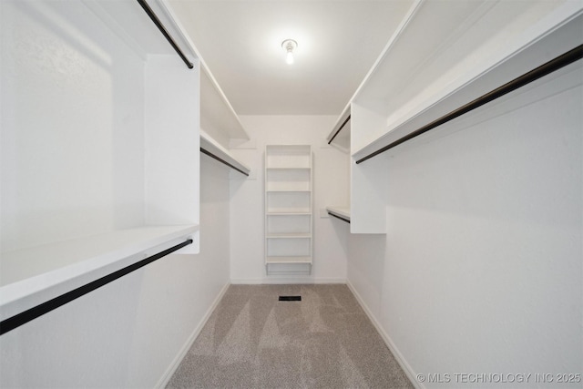 spacious closet featuring light colored carpet