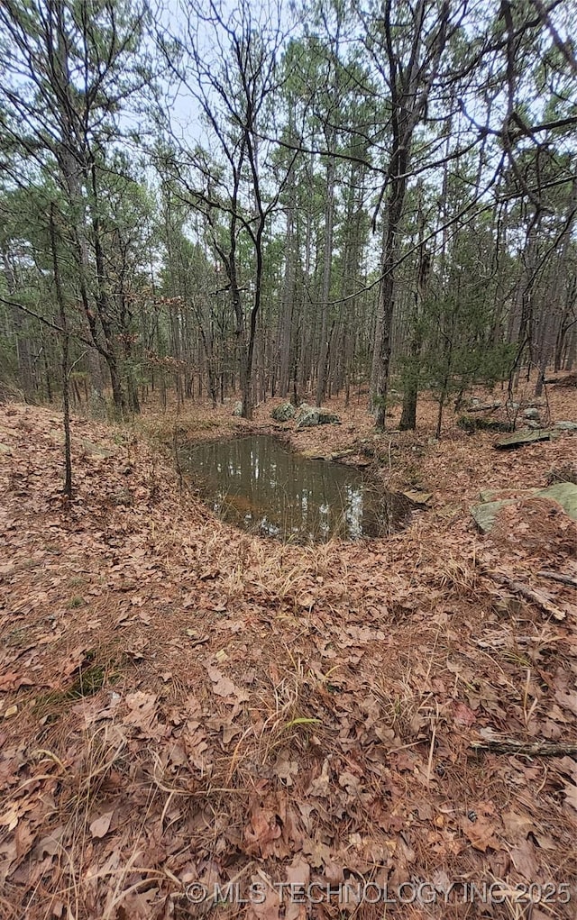 view of local wilderness with a water view