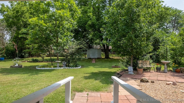 view of yard featuring a patio area and a storage shed