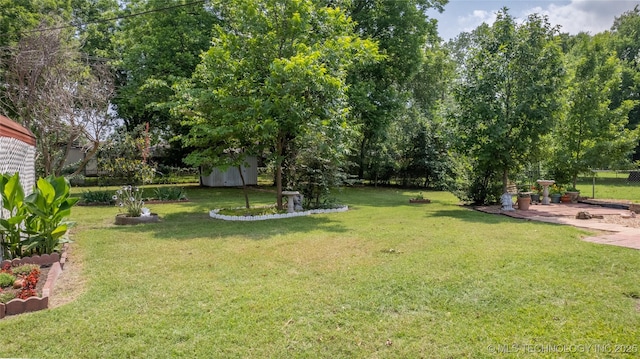 view of yard with a patio area and a shed