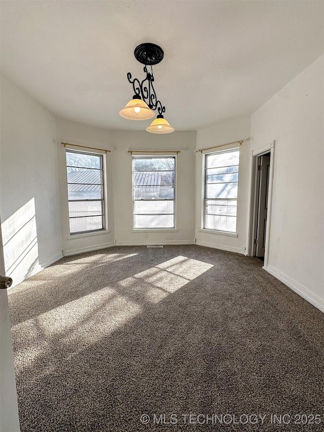 spare room with carpet floors