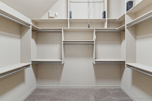 spacious closet with carpet flooring