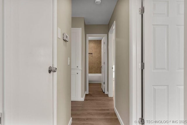 corridor featuring light hardwood / wood-style flooring