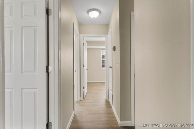 hall with light hardwood / wood-style flooring