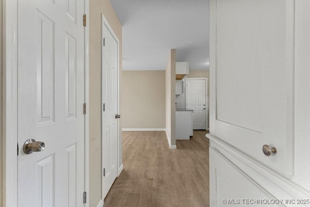 hall featuring light hardwood / wood-style floors