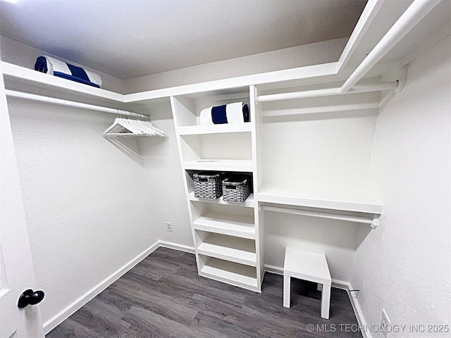 spacious closet featuring dark hardwood / wood-style flooring