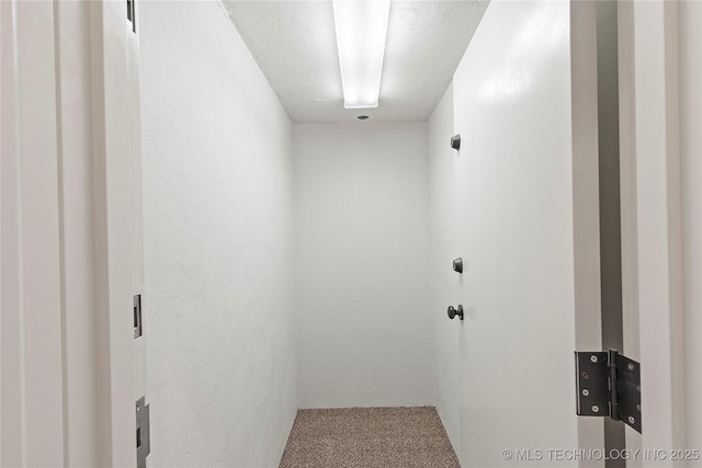 hallway featuring carpet flooring