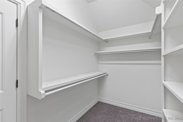 walk in closet featuring vaulted ceiling and carpet