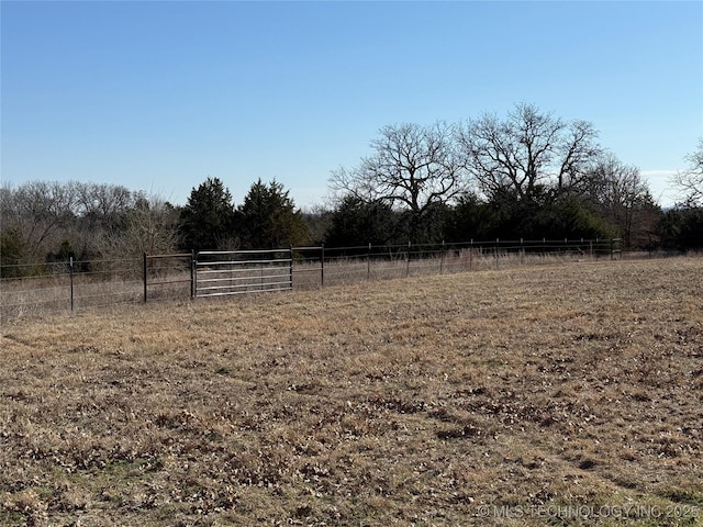 view of yard with a rural view