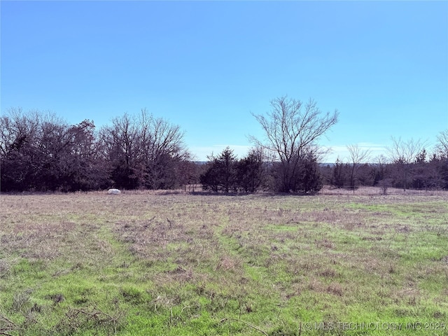 view of yard with a rural view