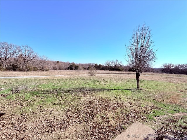 view of yard with a rural view