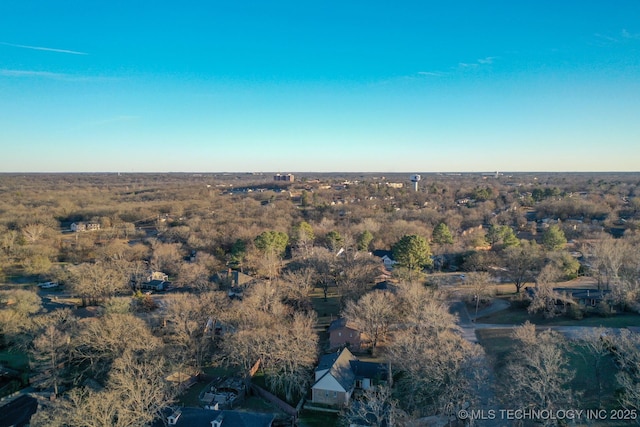 bird's eye view