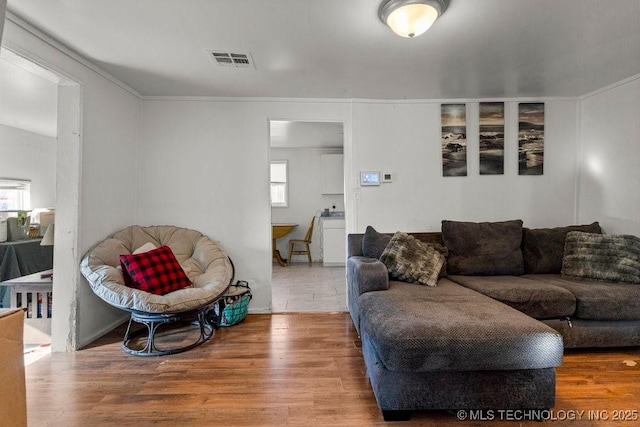 living room featuring wood-type flooring