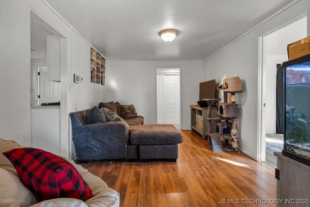 living room with hardwood / wood-style flooring