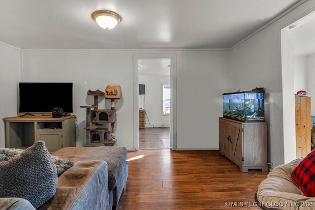 living room featuring hardwood / wood-style floors