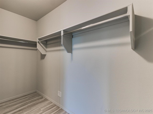 spacious closet featuring light hardwood / wood-style flooring