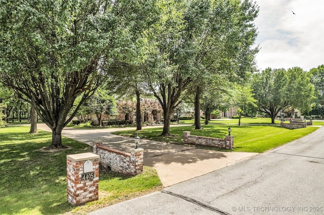 view of home's community featuring a yard and driveway