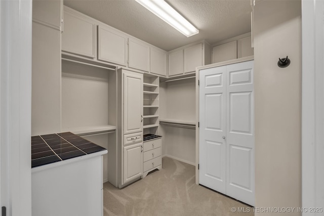 spacious closet featuring light colored carpet