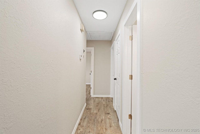 corridor with light wood-type flooring