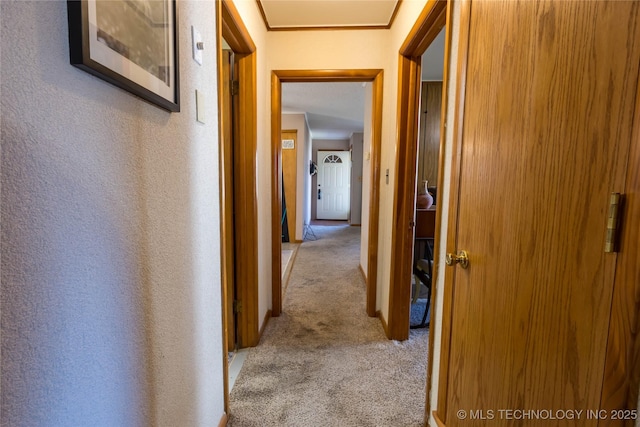 corridor featuring light colored carpet and ornamental molding