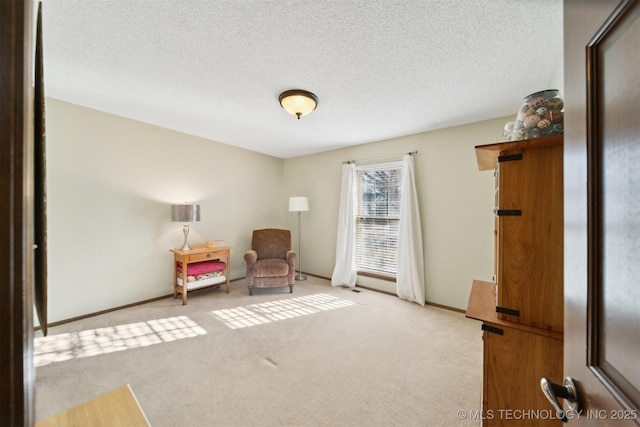 unfurnished room featuring light colored carpet and a textured ceiling