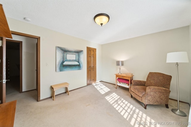 sitting room with carpet flooring