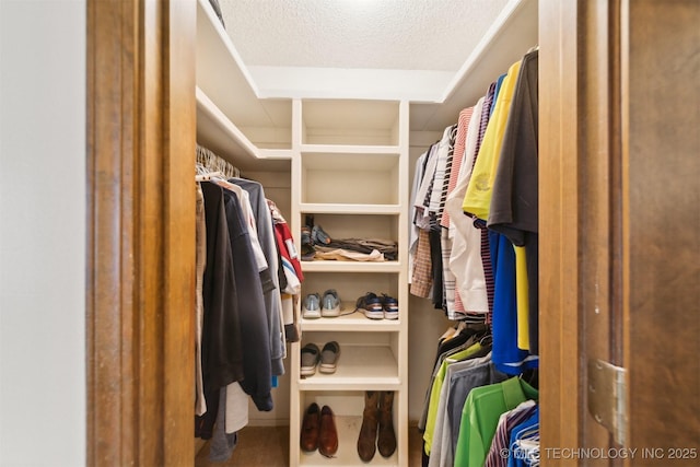 view of spacious closet