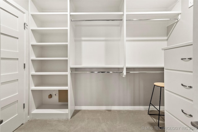 walk in closet with light colored carpet