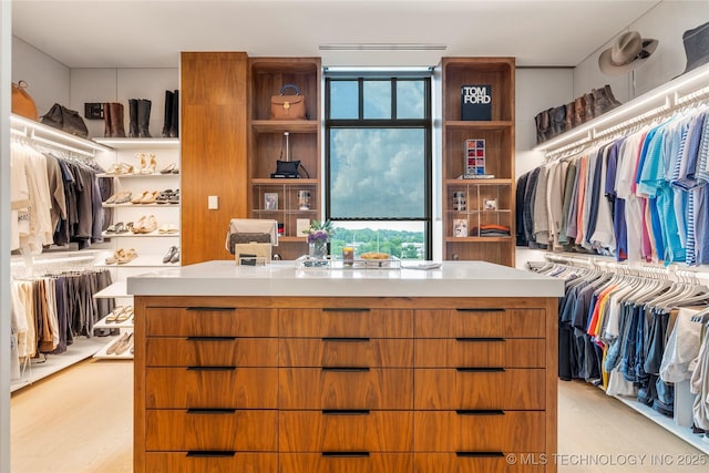 spacious closet with light hardwood / wood-style flooring