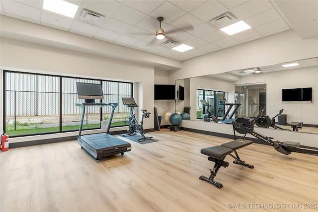 workout area with a drop ceiling, hardwood / wood-style flooring, and ceiling fan