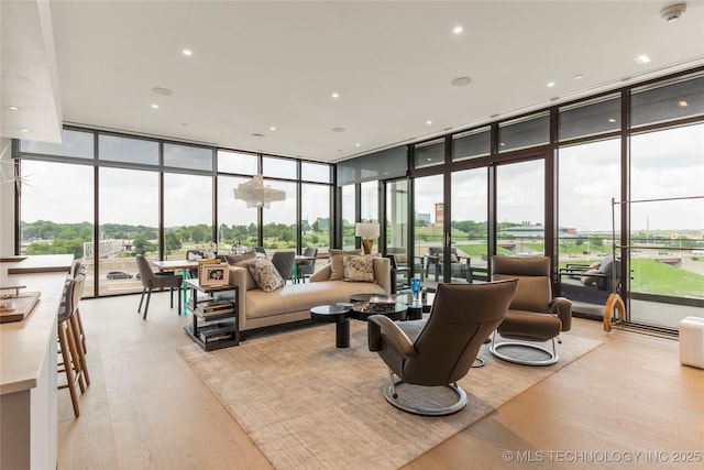 interior space with light hardwood / wood-style flooring and a wall of windows