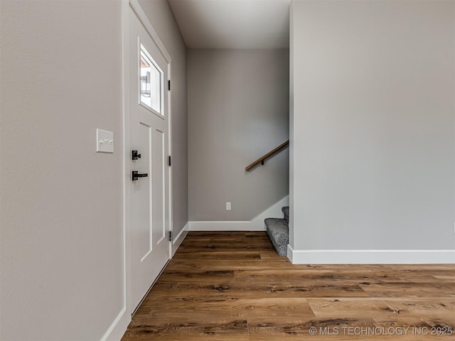 entrance foyer with dark wood-type flooring