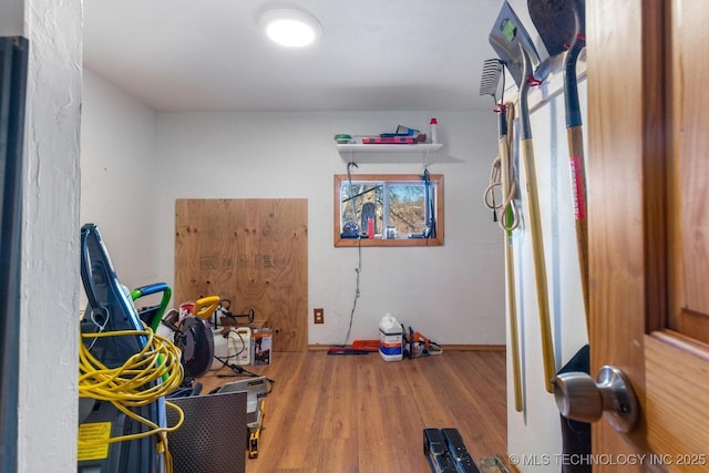 interior space with wood-type flooring