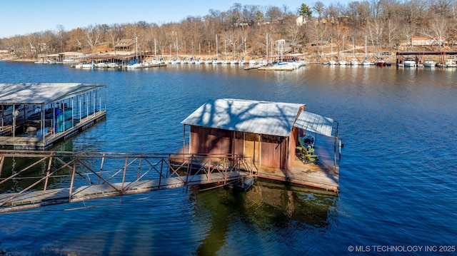 dock area featuring a water view