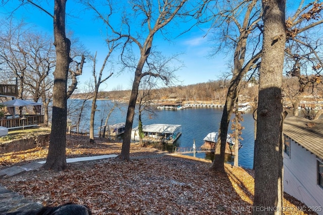 water view with a dock