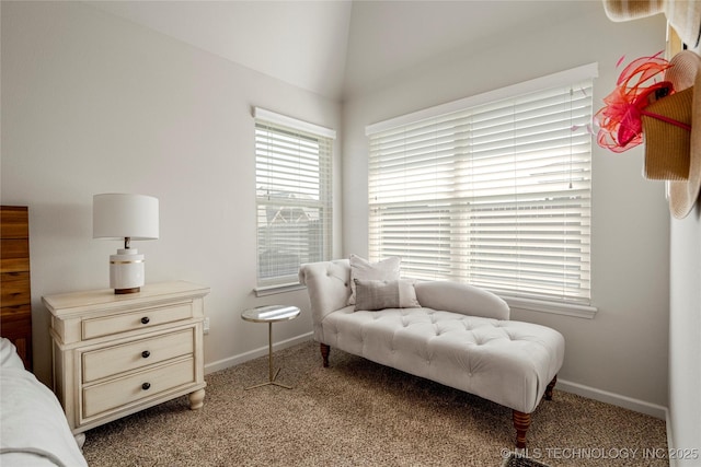 sitting room with light colored carpet